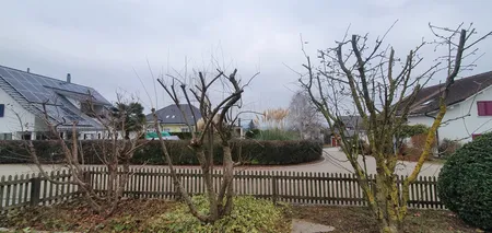 Baumpflege Winterthur - Impressionen unserer Arbeit