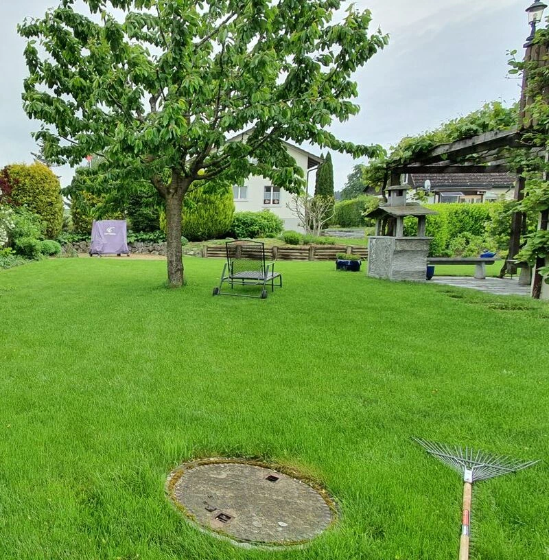 Baumpflege Winterthur - Ihre Bäume in Expertenhand